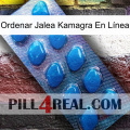 Ordenar Jalea Kamagra En Línea viagra1